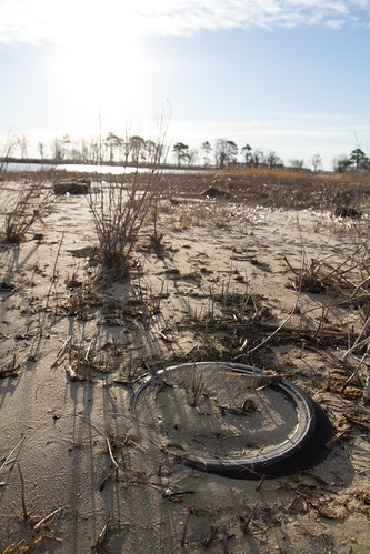Ferry Point Park in Kent Narrows, Md. | by chesbayprogram