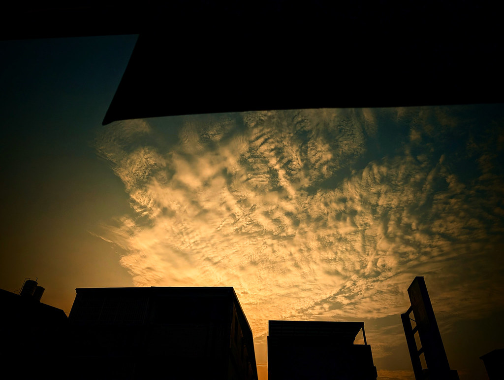 pixel 8 | Flickr