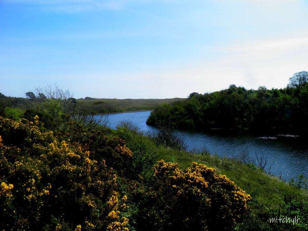 Gorse & Water | OLYMPUS DIGITAL CAMERA | MitchyLR | Flickr