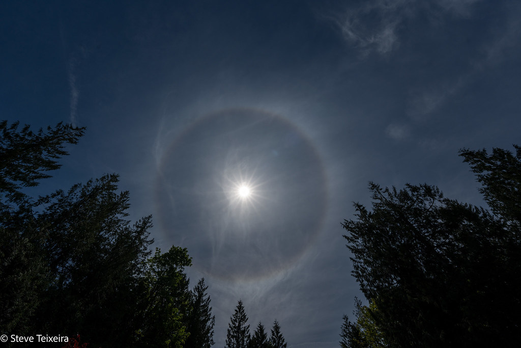 Sun dog halo