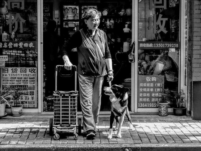 The old lady and her dog