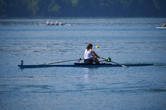 Regatta Schmerikon 2025
