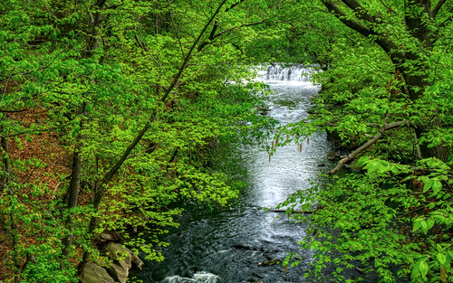 River Falls | by JMS2