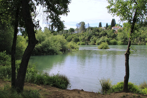 Way Down Upon The Sacramento River..... by A Guy Named Nyal, We're spending a couple of days in Redding California. Niccy has an online test to take so we'll be 