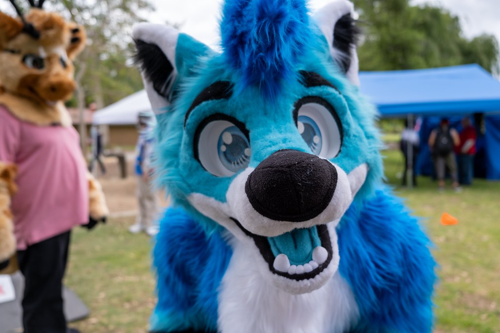 Furtography by SnowyHitch