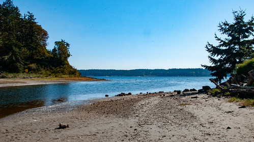 Beach at Chimacum Creek by sitkaran, chimacumcreek ocean beach forest landscape nature nikon porthadlock seascape sky sunrise tree trees 
