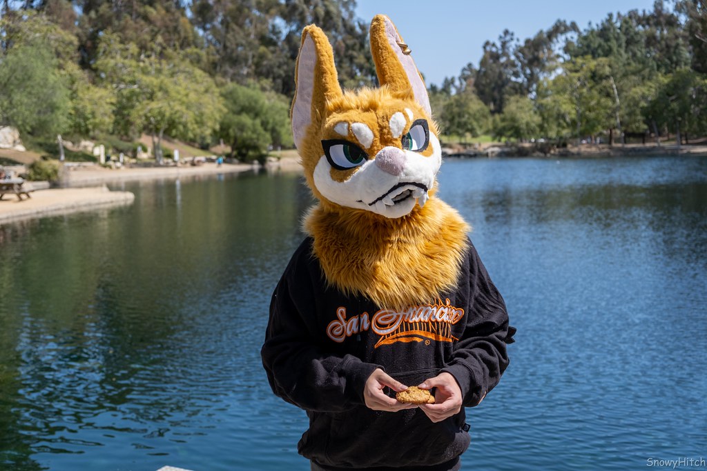 Furtography by SnowyHitch