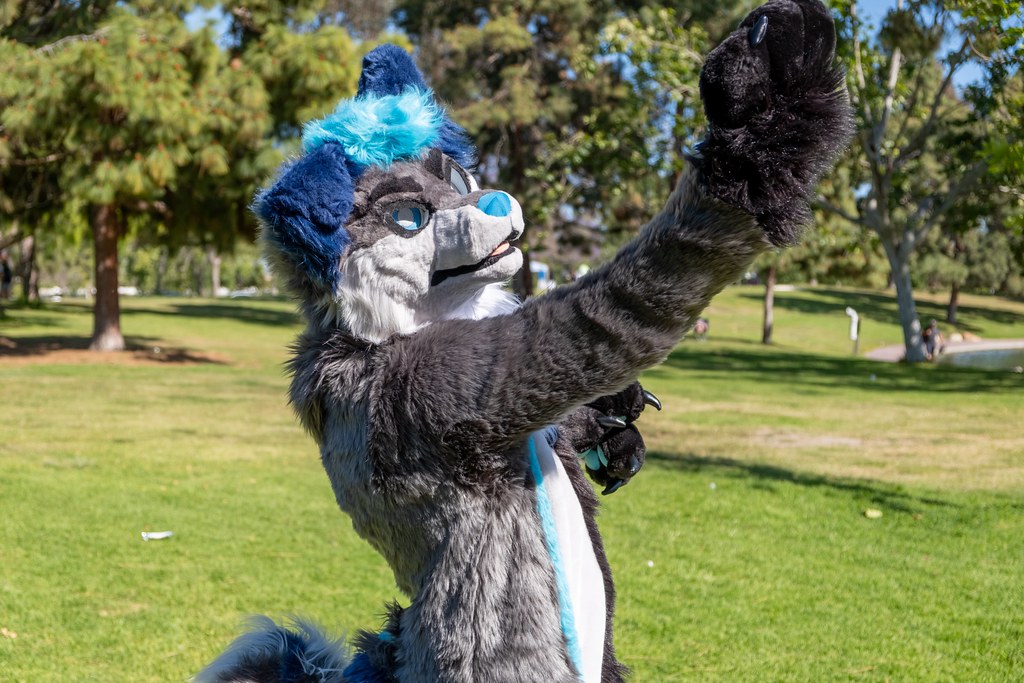 Furtography by SnowyHitch