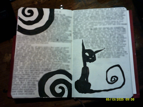 Spiral cat | by PaperWormz