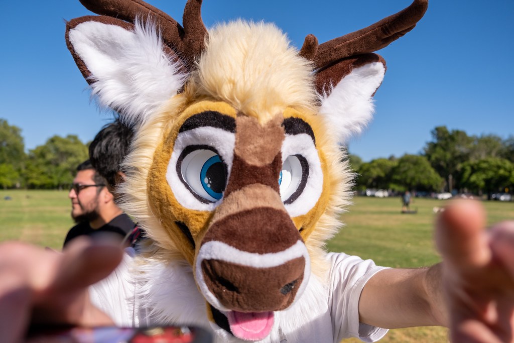 Furtography by SnowyHitch