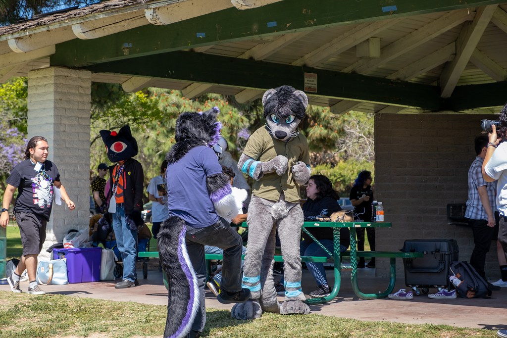Furtography by SnowyHitch