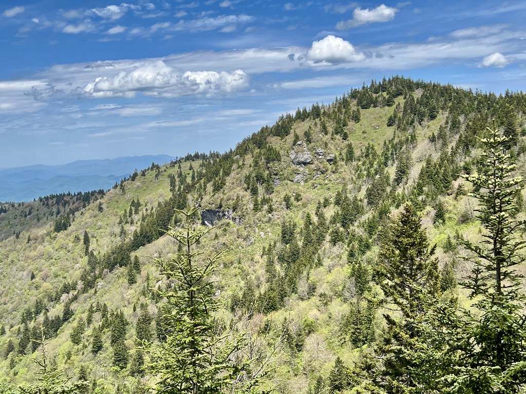 Mt Ridgefield View from another ridge | akunkle99 | Flickr