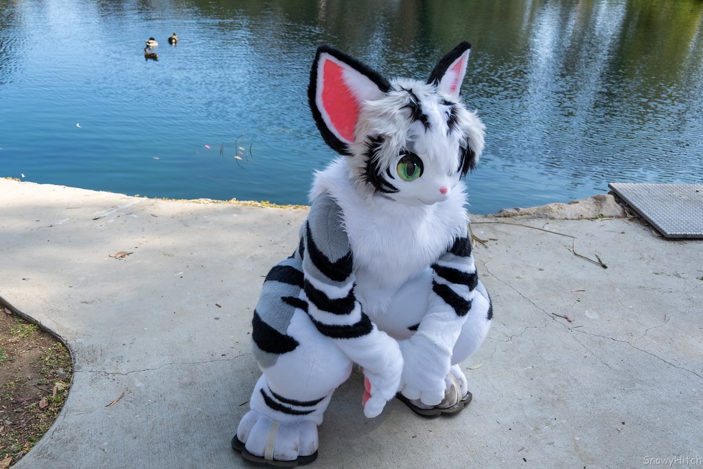 Furtography by SnowyHitch