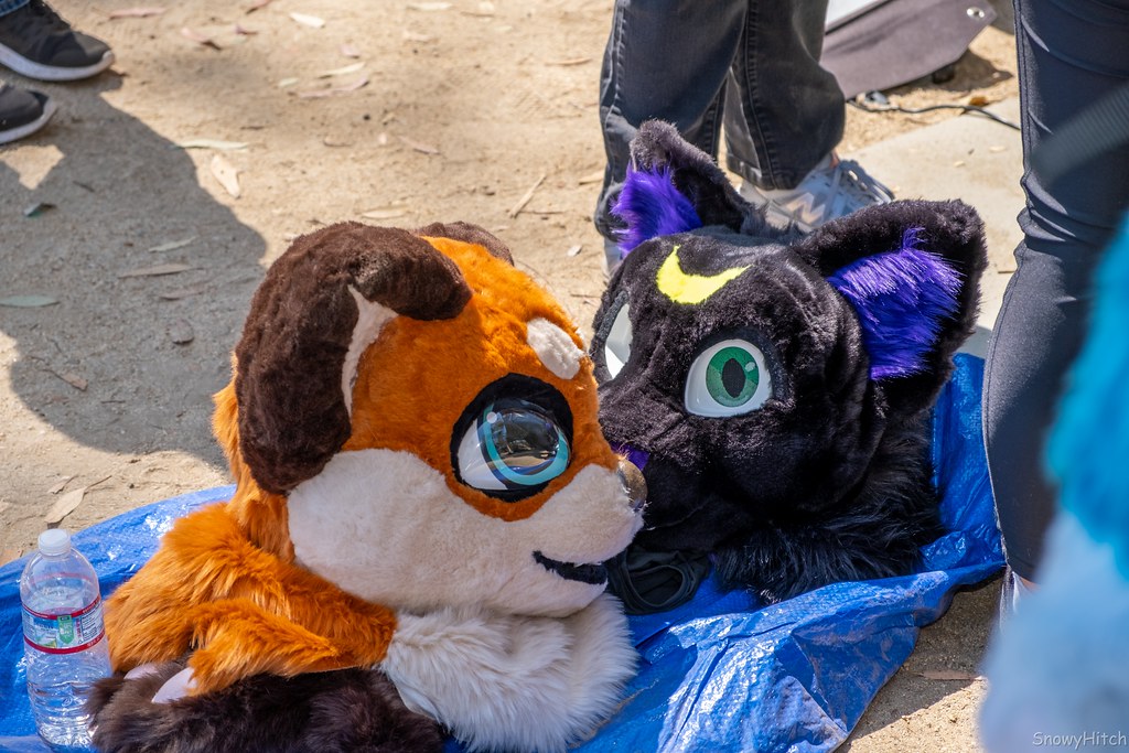 Furtography by SnowyHitch