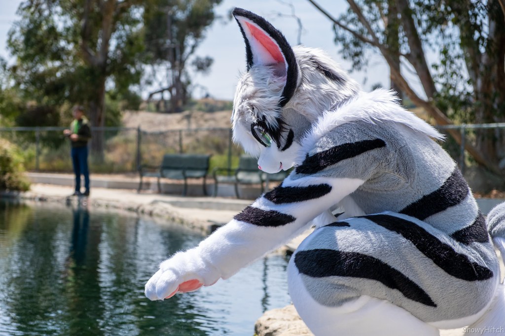 Furtography by SnowyHitch