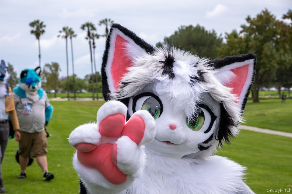 Furtography by SnowyHitch
