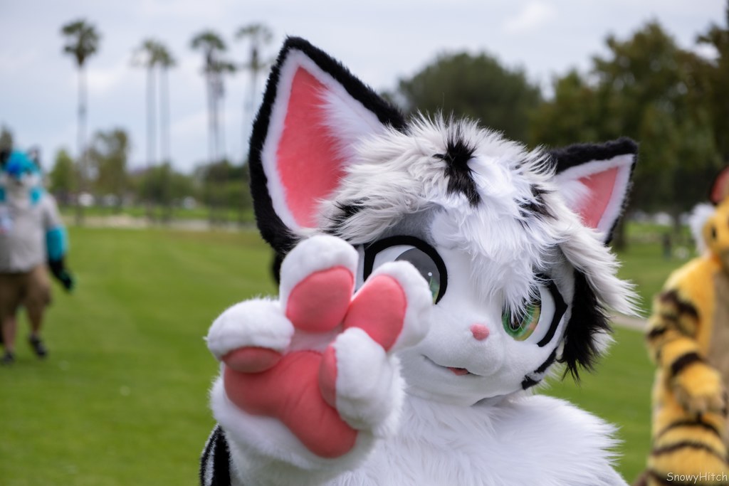 Furtography by SnowyHitch