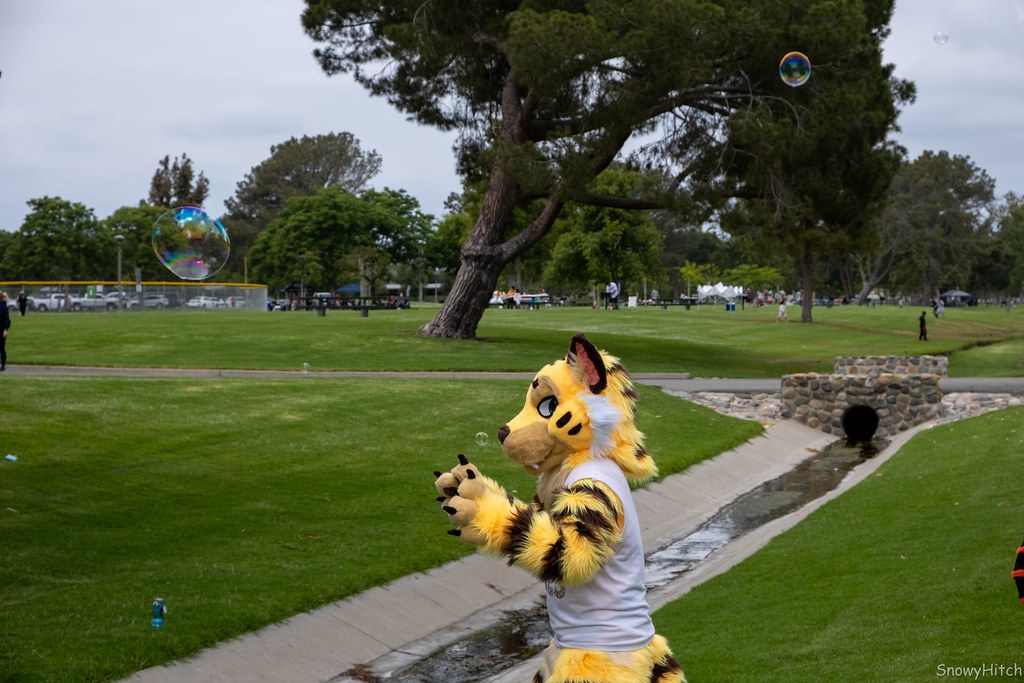 Furtography by SnowyHitch
