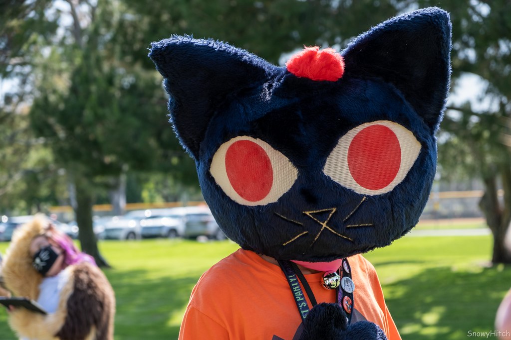 Furtography by SnowyHitch