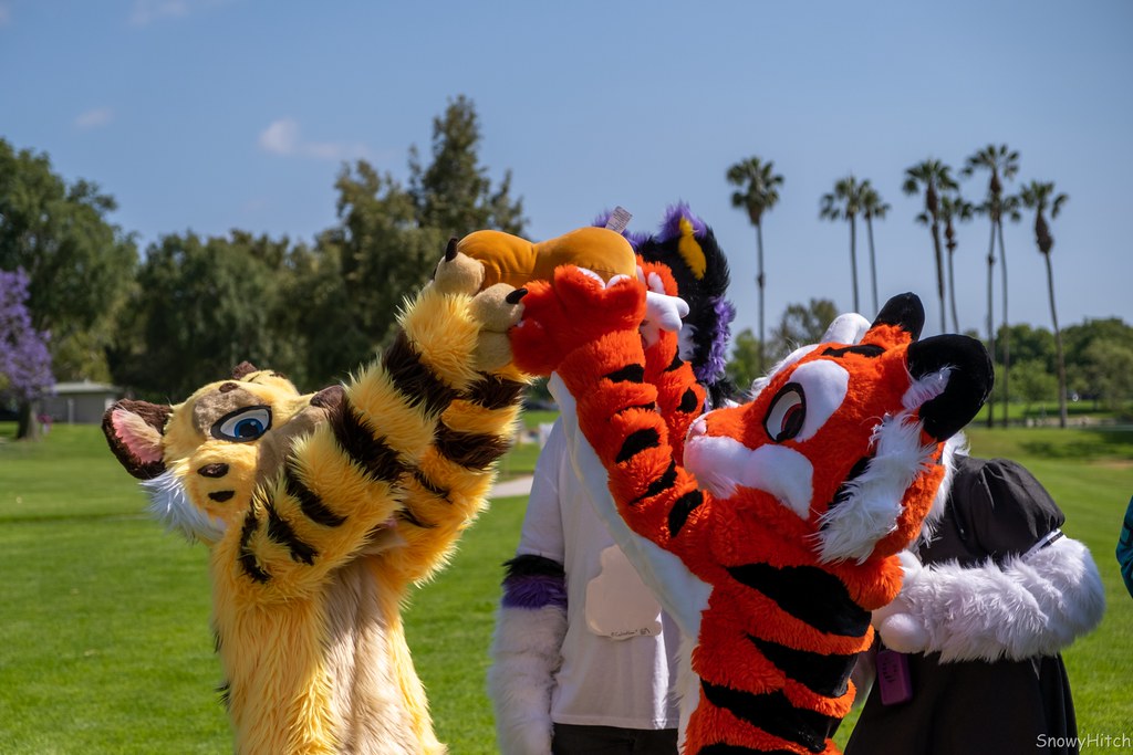 Furtography by SnowyHitch
