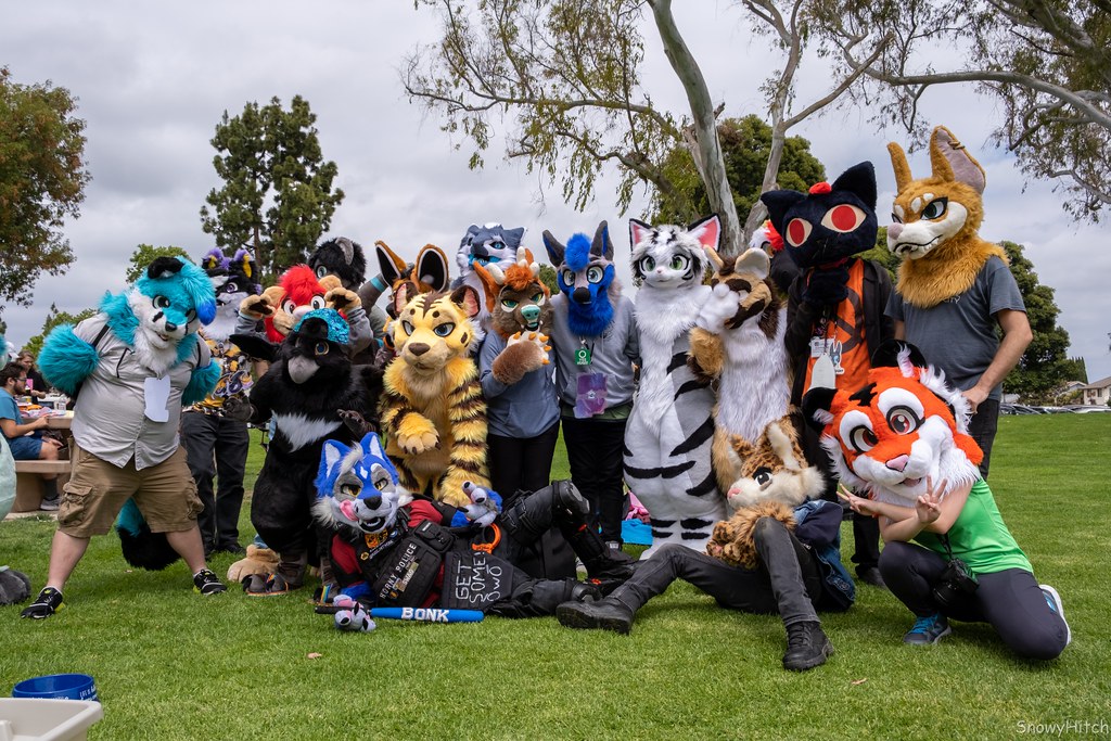 Furtography by SnowyHitch