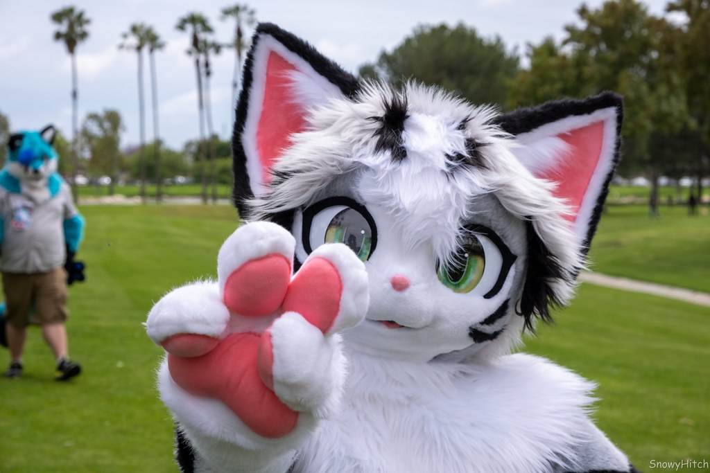 Furtography by SnowyHitch