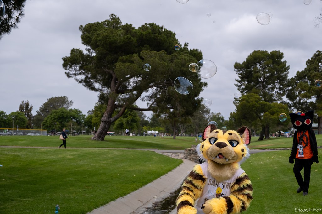 Furtography by SnowyHitch