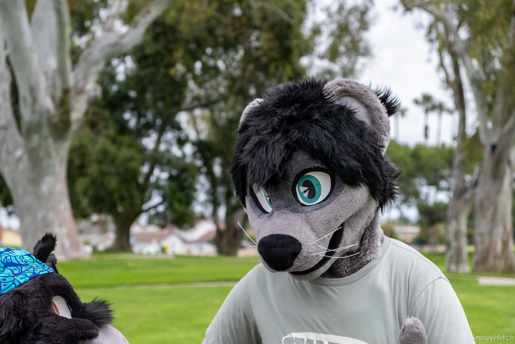 Furtography by SnowyHitch