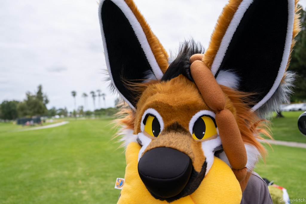 Furtography by SnowyHitch