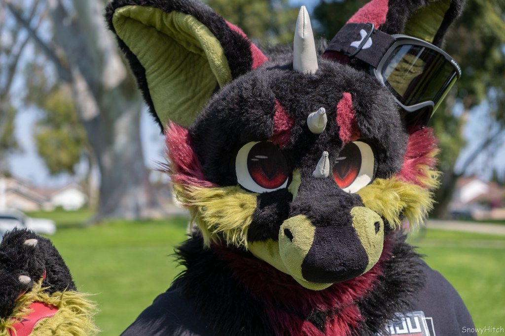 Furtography by SnowyHitch