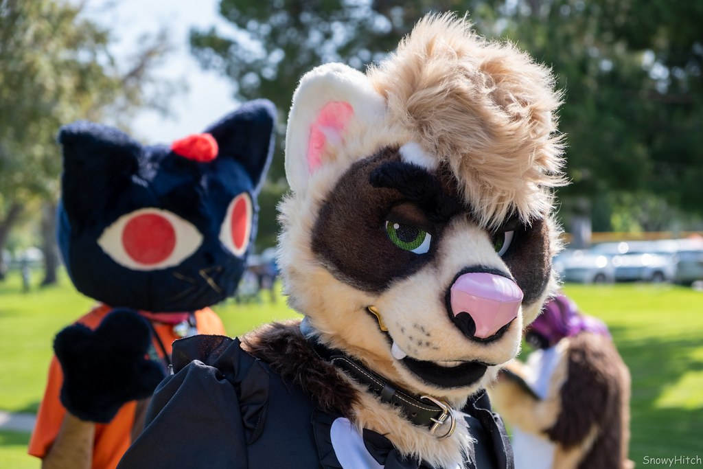 Furtography by SnowyHitch
