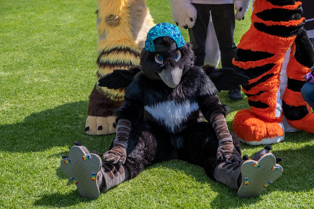 Furtography by SnowyHitch