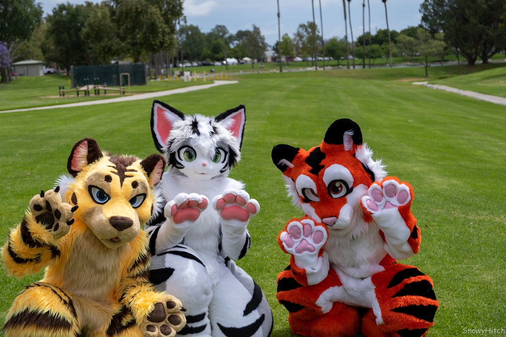 Furtography by SnowyHitch
