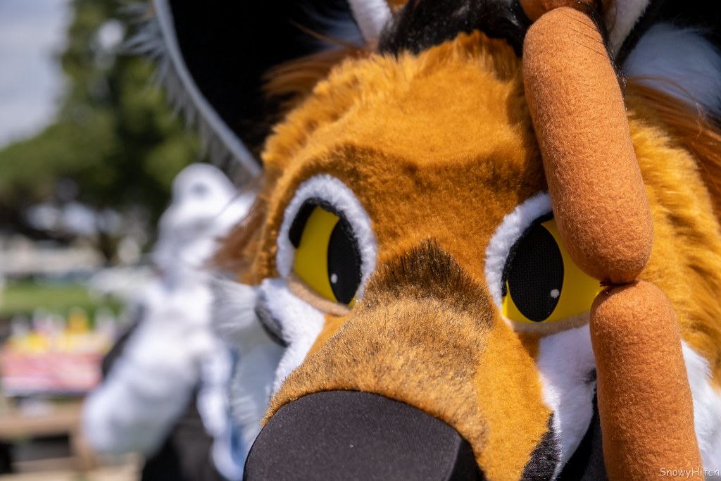 Furtography by SnowyHitch