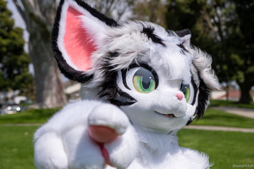Furtography by SnowyHitch