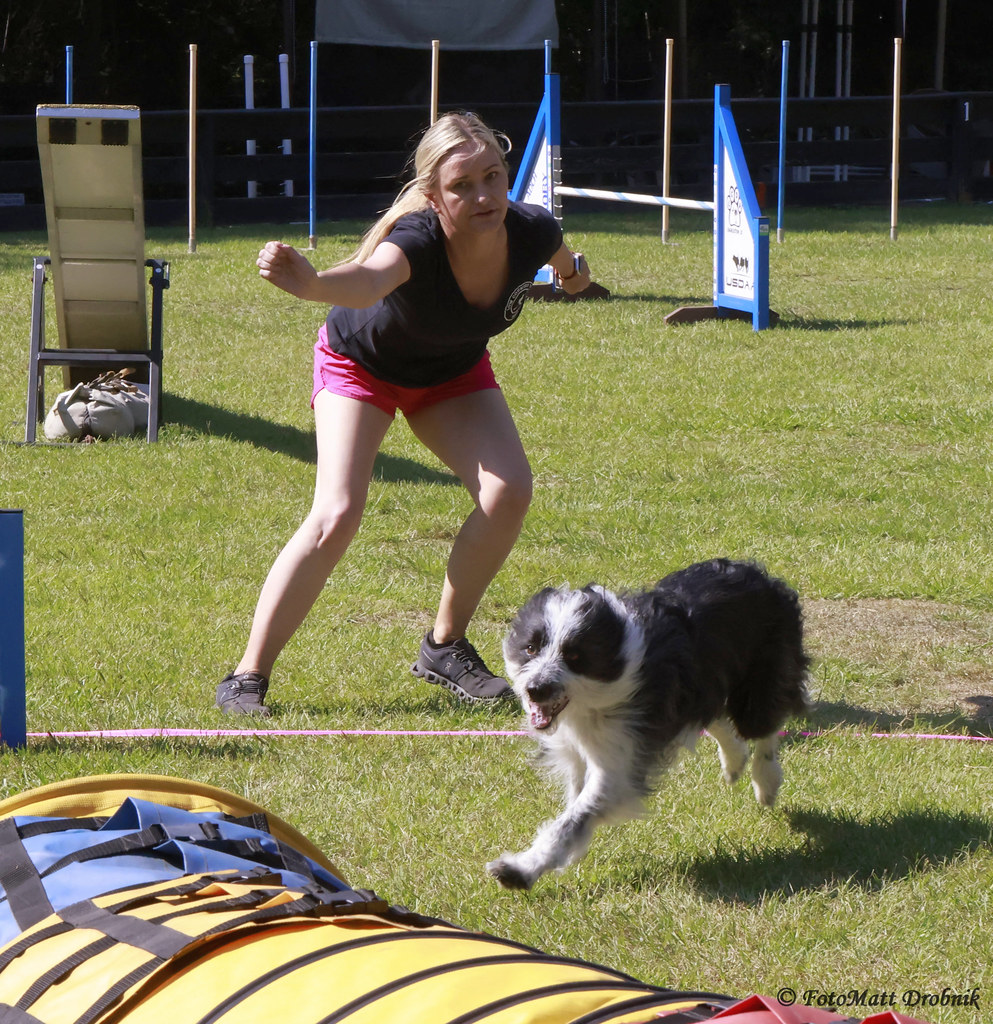 Agility In Action Saturday agility action with LCDA in Charleston, SC | Flickr