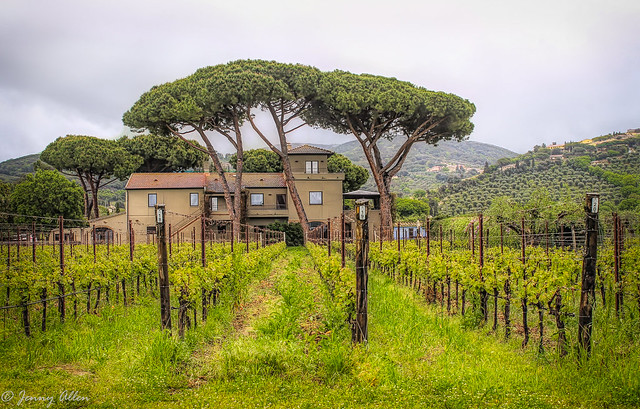Tuscan Winery