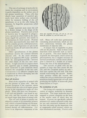 BK3882 Encyclopedia Science Supplement 1968 115 | by Eudaemonius