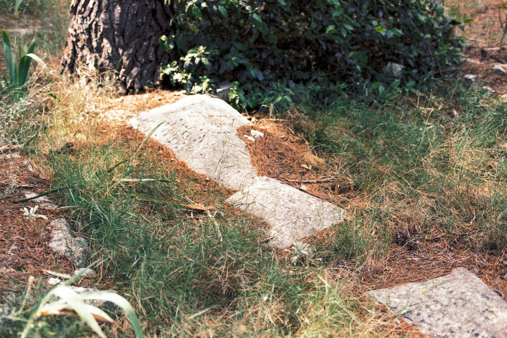 Exploring the Split Jewish Cemetery Through LomoChrome '92