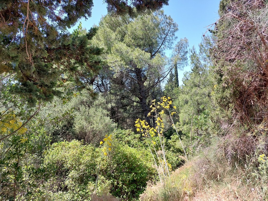 Park on the Hill