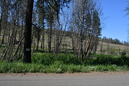 High lake
