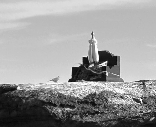 A devotee | A dove in front of a small temple | Ashok Boghani | Flickr