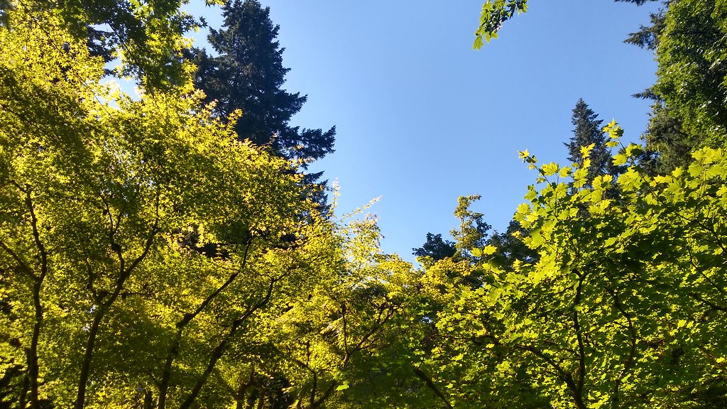 Upper Macleay Trail