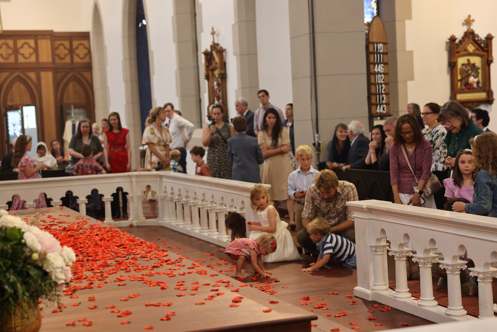 Pentecost Rose Petal Drop | June 2025 | Flickr