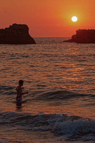 Last rays of the day