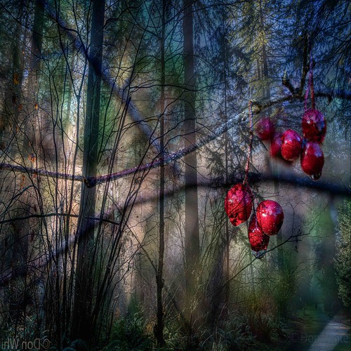 Double Exposure | by Don White (Burnaby)
