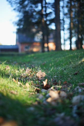 Earthing