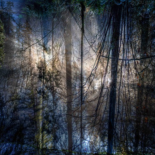 Two Suns | by Don White (Burnaby)
