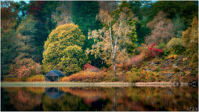 Serenity