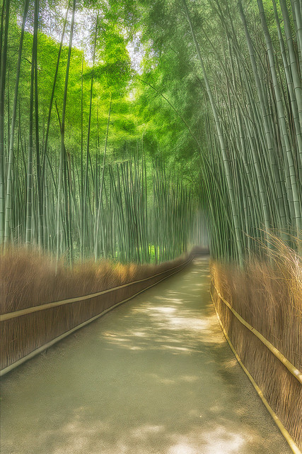 Among Quiet Fields of Green
